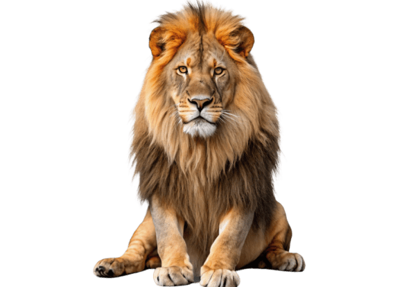 3D Animated Cartoon Lion PNGs for Creative Projects