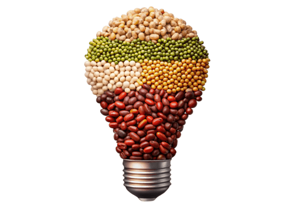 Lightbulb with Health Food Beans 3D PNG